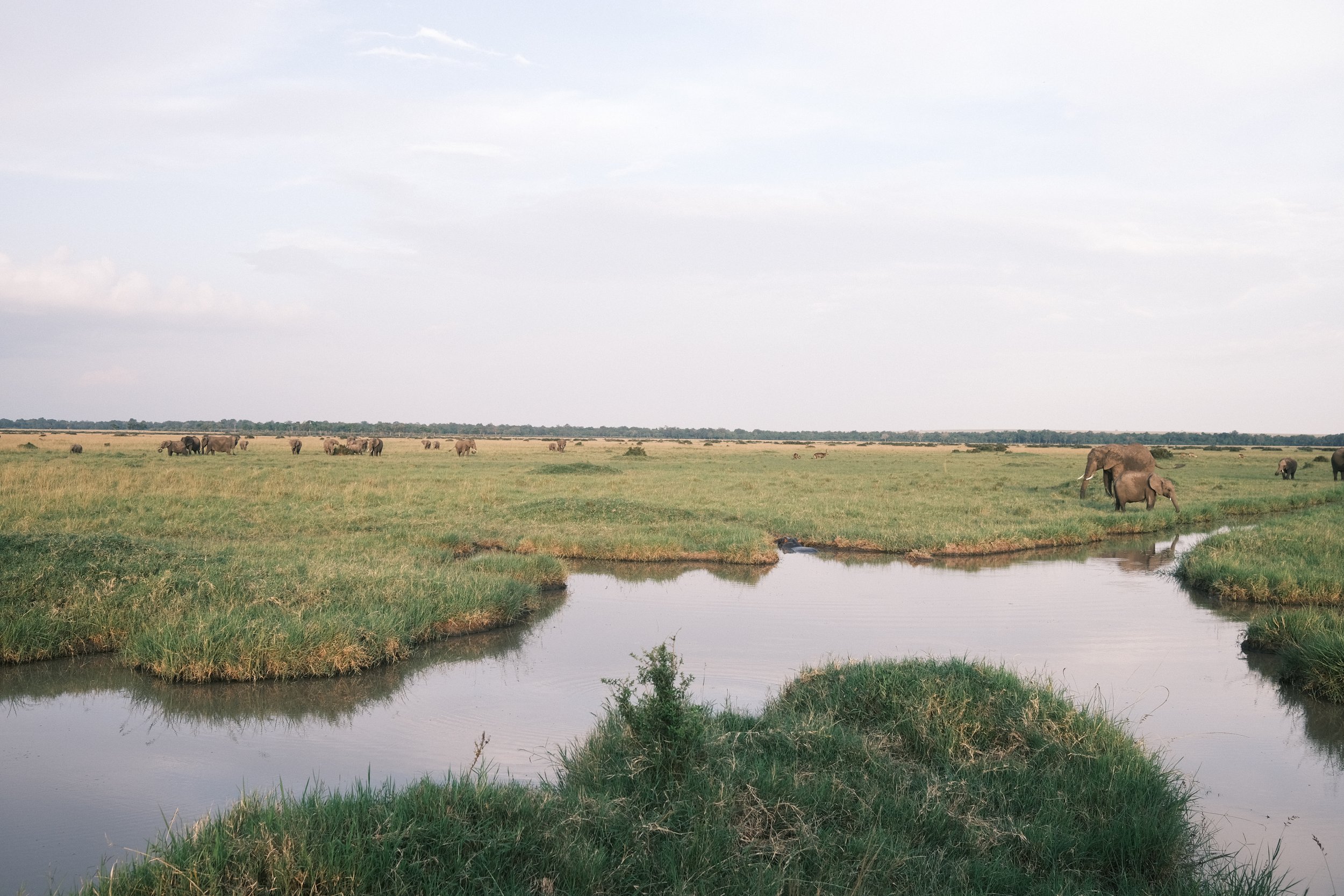 Entre volcanes dormidos y animales salvajes