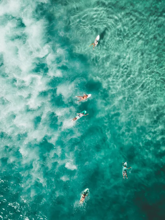 surf